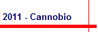 2011 - Cannobio